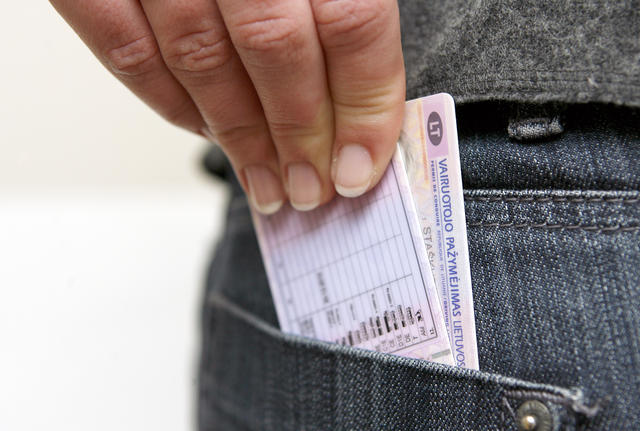 Naujo pavyzdžio teisės