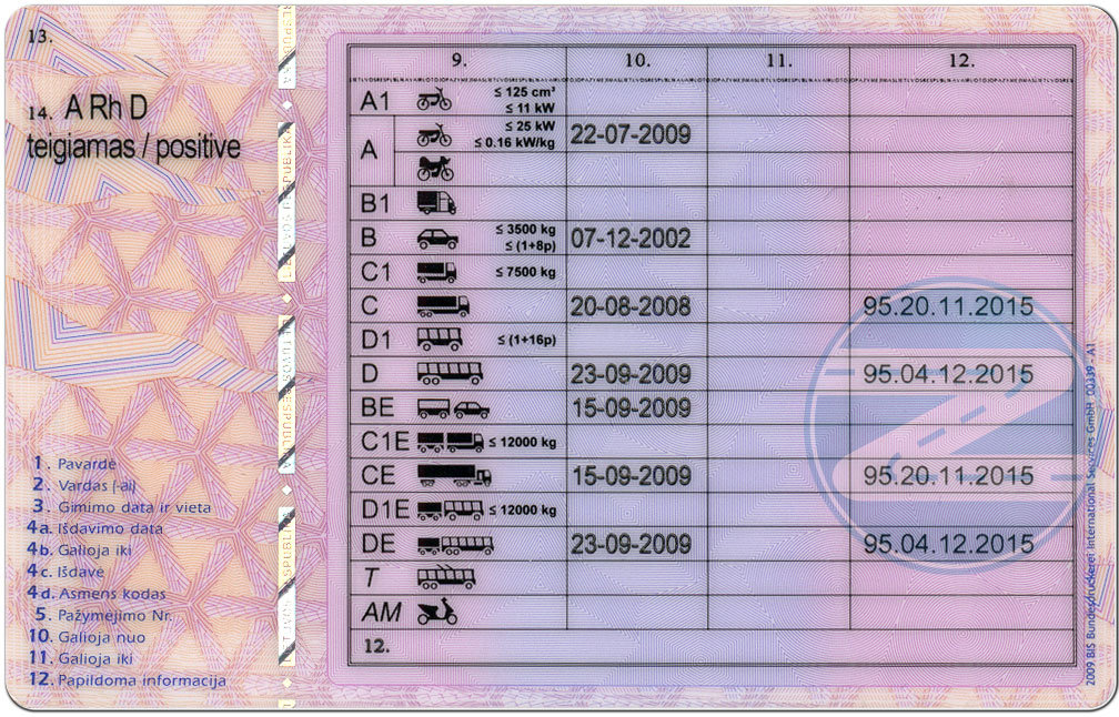 Vairuotojo pažymėjimas antra pusė